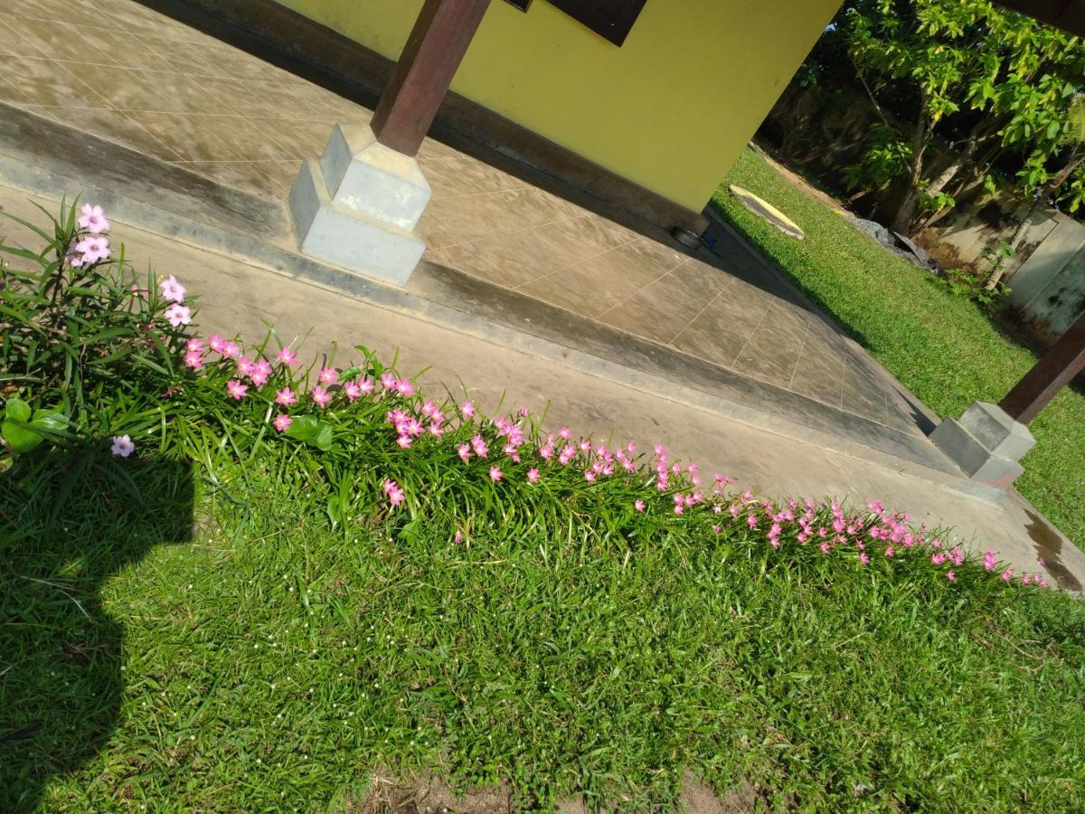 Olivia Bungalow ワッタラ エクステリア 写真