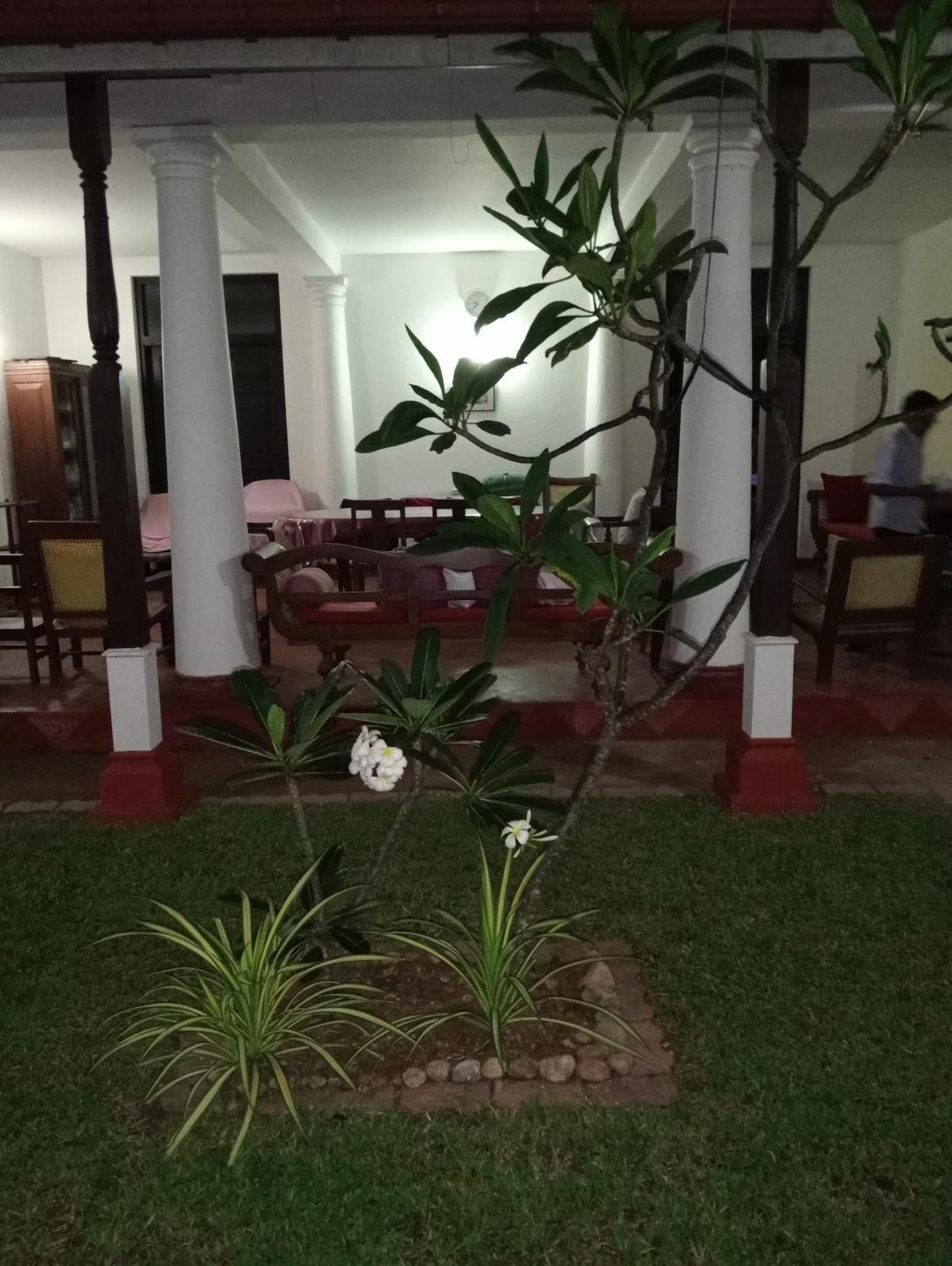Olivia Bungalow ワッタラ エクステリア 写真